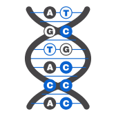 gene_prod