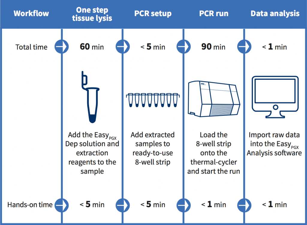 Real Time PCR Easy PGX Line Diatech