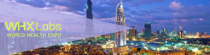 BANNER HIGHLIGHTS SITO (10)